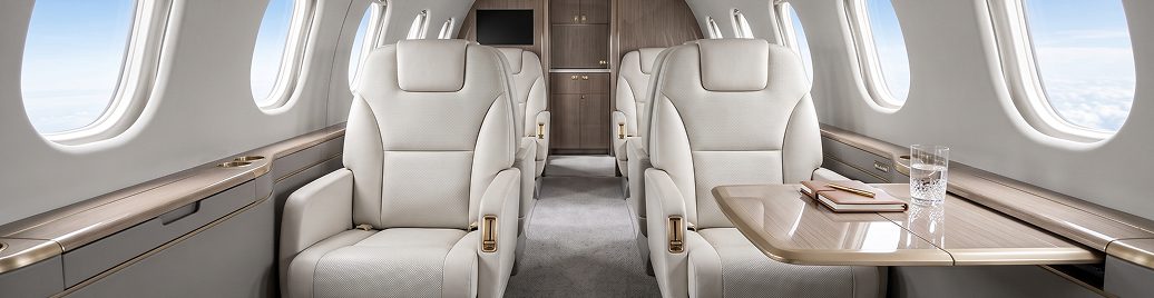 Pet-friendly private jet travel with a dog on board