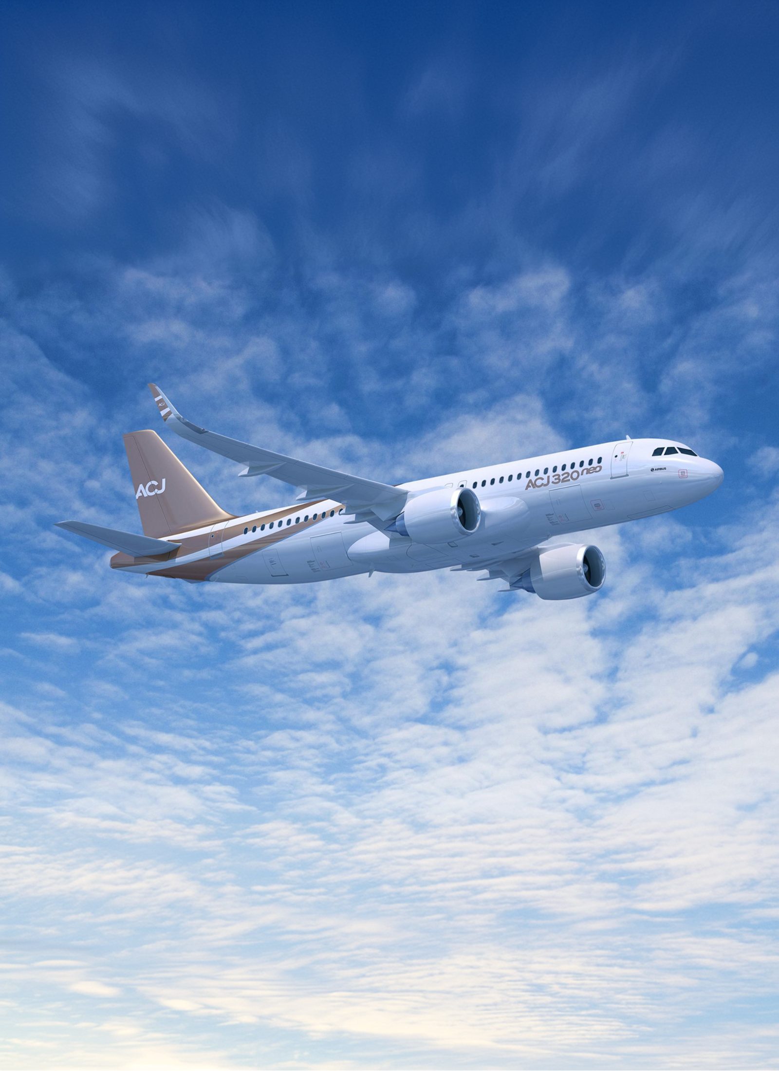 Airbus ACJ320 private aircraft for group charter travel