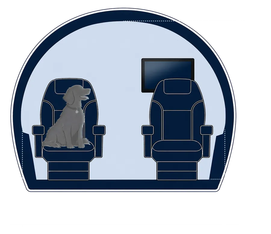 Sección transversal de la cabina del Dassault Falcon 2000
