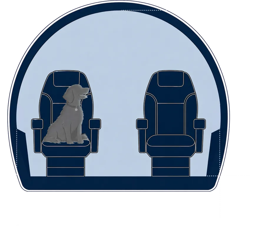Sección transversal de la cabina del Cessna Citation CJ3/CJ3+
