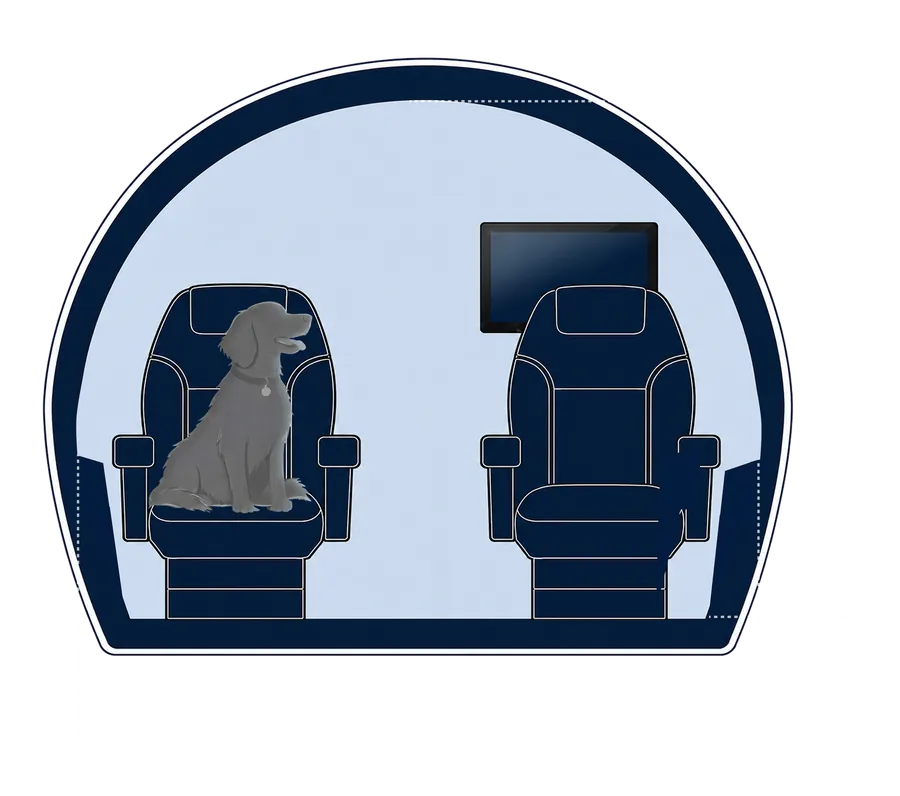 Sección transversal de la cabina del Gulfstream G550