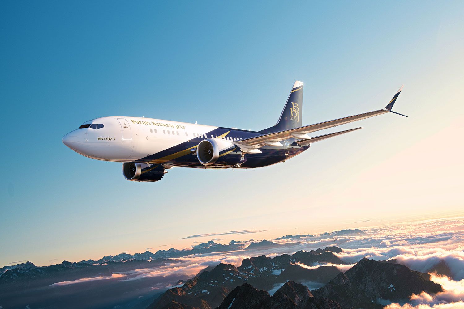 VIP airliner in flight